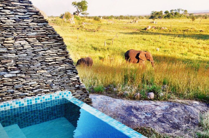 Abercrombie and Kent Safari: What The Real Experience Is Like