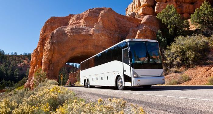 16 Of The Best Tour Companies For Young Professionals (Updated January ...