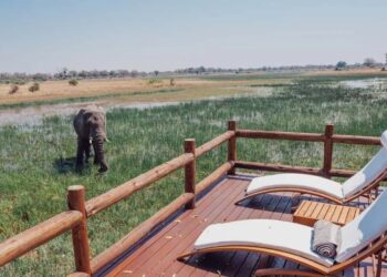 Exploring the Serengeti with Abercrombie and Kent: An In-Depth Review ...