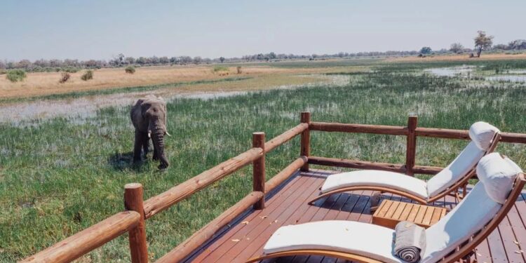 Exploring the Serengeti with Abercrombie and Kent: An In-Depth Review ...